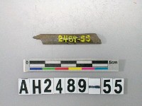 藏品(磨製石針)的圖片